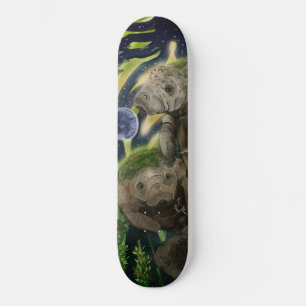 Fragile balanceerbeheer skateboard