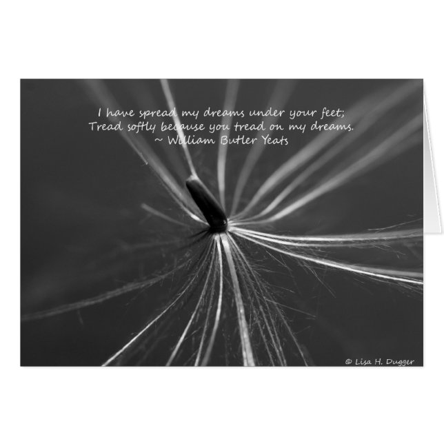 Fragile Dreams Underfoot (Voorkant Horizontaal)