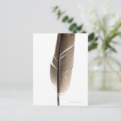 Fragile witte veer briefkaart (Staand voorkant)