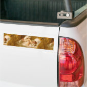fragonard bumpersticker (Op Truck)