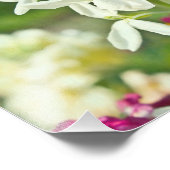 Fragrance Garden Foto Afdruk (Hoek)