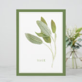 FRAÎCHE SAGE 6,5x8,75 Carte à plat / Vert (Debout devant)