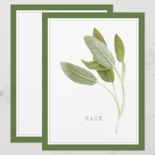 FRAÎCHE SAGE 6,5x8,75 Carte à plat / Vert