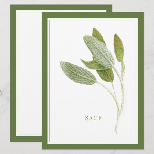 FRAÎCHE SAGE 6,5x8,75 Carte à plat / Vert (Devant / Derrière)