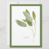 FRAÎCHE SAGE 6,5x8,75 Carte à plat / Vert (Devant)