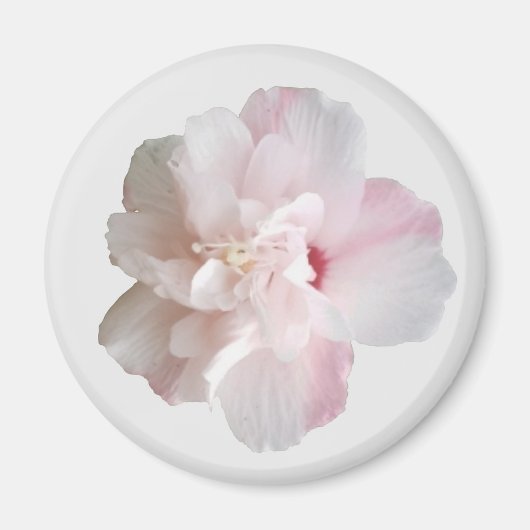 Fraise rose Smoothie Althea Magnet (Devant)