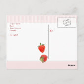 Fraises Flambant rayures roses pour carte postale (Dos)