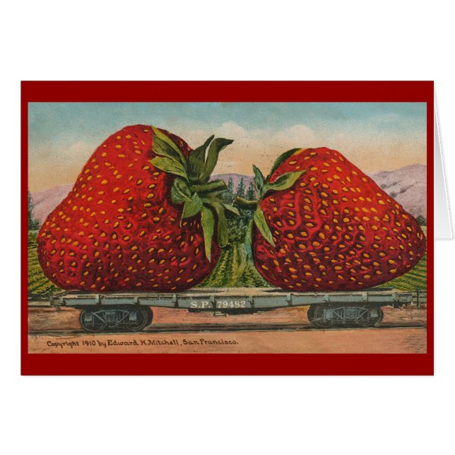 Fraises Giant Fruit Antique Fruit Amusant (Devant horizontal)