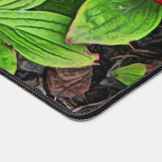 Framboise aux baies (Coin)