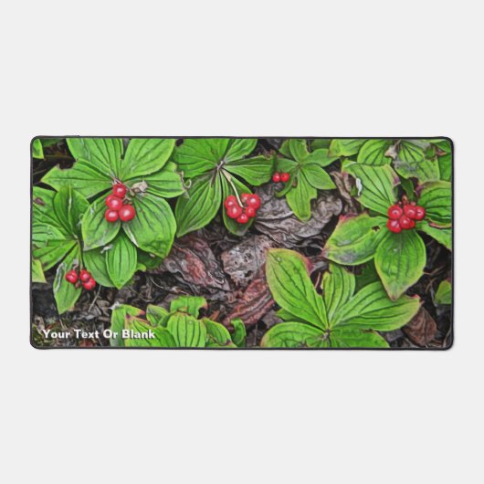 Framboise aux baies (Recto)