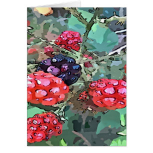 Framboises rouges et noires