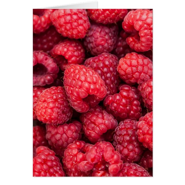 Framboises rouges fraîches (Devant)