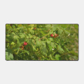 Framboises sauvages dans les Alpes - Green & Red P (Recto)