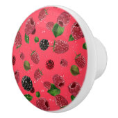 Frambospatroon Keramische Knop (Rechts)