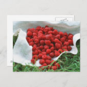 Frambozen Briefkaart (Voorkant / Achterkant)