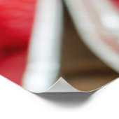 frambozen close-up poster (Hoek)