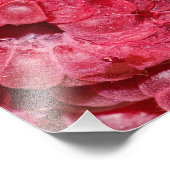 Frambozen Foto Afdruk (Hoek)