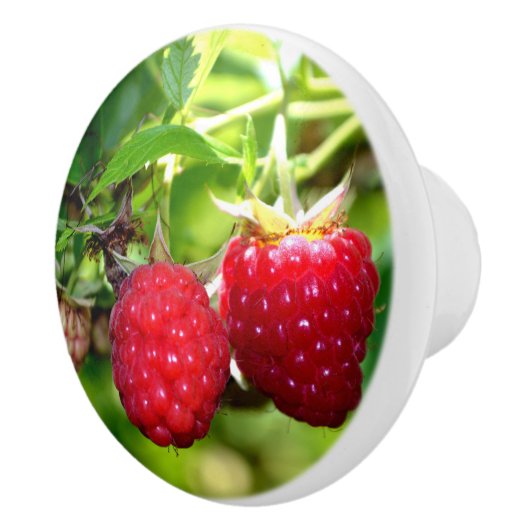 Frambozen Keramische Knop (Rechts)