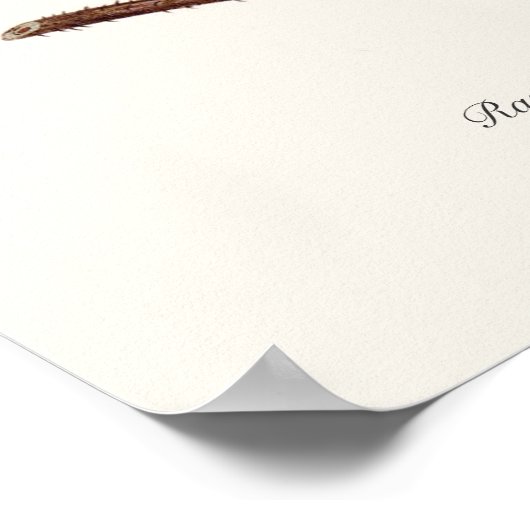 Frambozen Poster (Hoek)