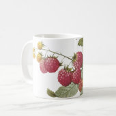frambozen (Rubus sp.) van Redouté Koffiemok (Voorkant links)