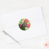 Frambozen Stickers (Envelop)
