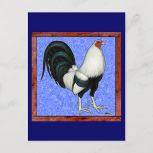 Framed Gamecock Briefkaart