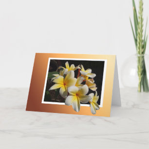 Framed Pulmeria Kaart