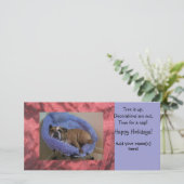 Français Bulldog Photo Carte de fin de année de No (Debout devant)