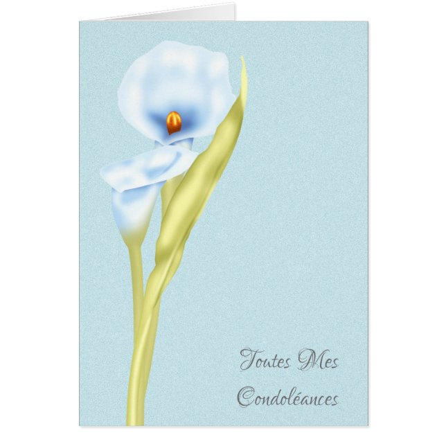 Français de Toutes Mes Condoleances simplement (Devant)