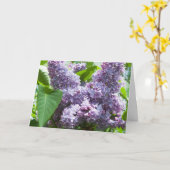 Français Lilac Get Well Card Modèle (Fleur jaune)