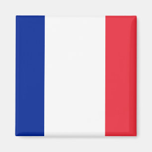 France Flag Magnet Magneet