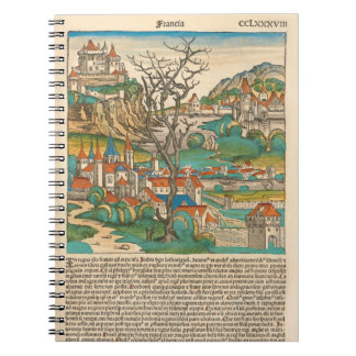 France Nuremberg Chronique 1493 Ancien livre médié