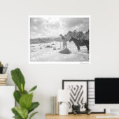 Frances Phelps Belden vliegt in de rivier Poster (Thuiskantoor)