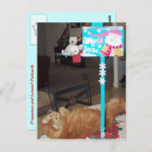 Francious en Lennart Briefkaarten (Voorkant / Achterkant)