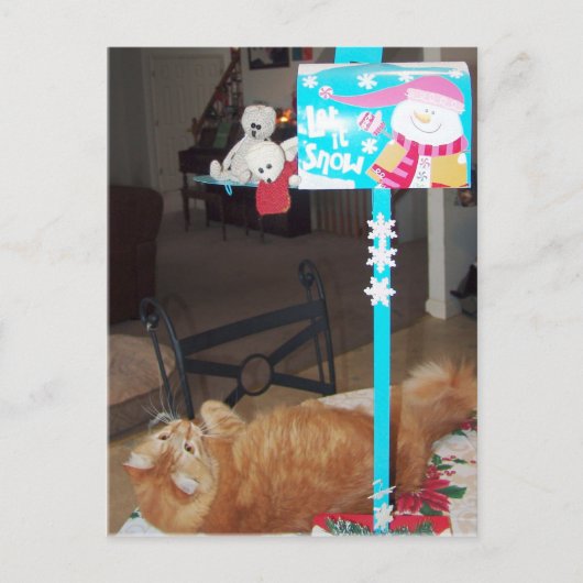 Francious en Lennart Briefkaarten (Voorkant)