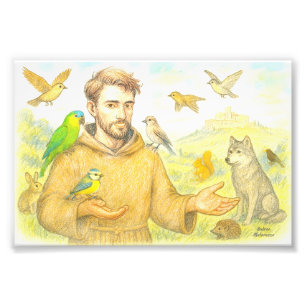 Franciscus - de preek voor vogels en dieren foto afdruk