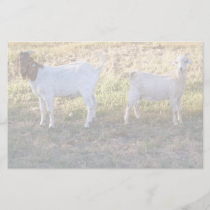 Franco en Friend Briefpapier