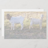 Franco en Friend Briefpapier (Voorkant / Achterkant)