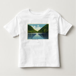 Franconia Notch State Park Uitzicht van Profile La Kinder Shirts