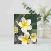 Frangipani bloem Cook Eilanden Briefkaart (Staand voorkant)