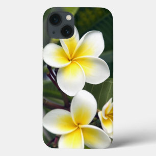 Frangipani bloem Cook Eilanden iPhone 13 Hoesje
