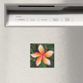 Frangipani-bloem Magneet (Insitu (Vaatwasser))