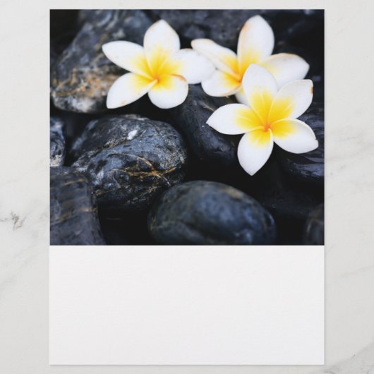 Frangipani-bloemen Flyer (Voorkant)