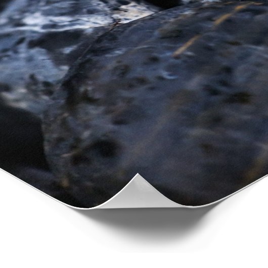 Frangipani-bloemen Poster (Hoek)