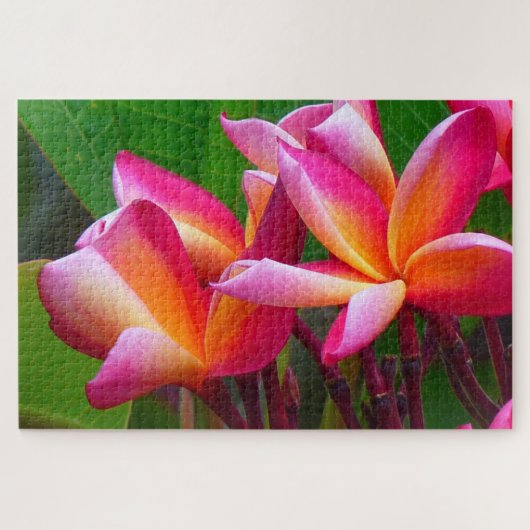 frangipani bloemen puzzel (Horizontaal)