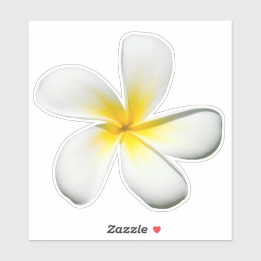 Frangipani Blossom Sticker (Vel)
