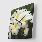 Frangipani bouquet bloemen vierkante klok (Hoek)