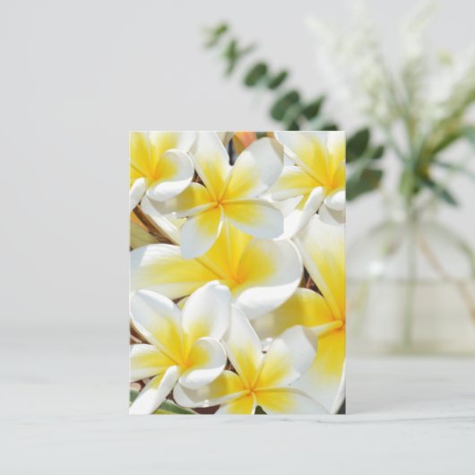 Frangipani Bouquet, Briefkaart (Staand voorkant)