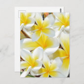 Frangipani Bouquet, Briefkaart (Voorkant / Achterkant)
