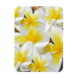 Frangipani Bouquet, Flexible Magnet Magneet